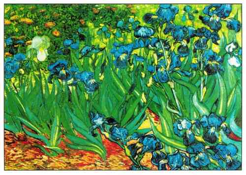 van Gogh - Lilien